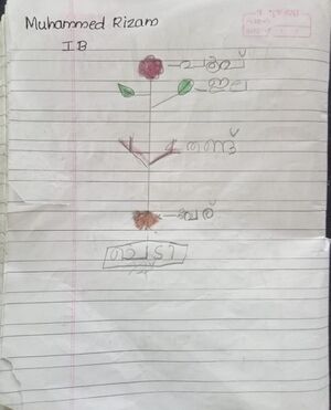 22417-TSR-KUNJ-MUHAMMED RIZAM.jpg