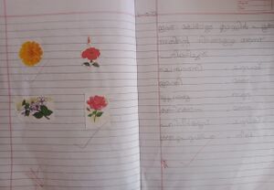 34304-ALP-KUNJ-SREENIDHI LATHEESH.jpeg