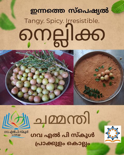 പ്രമാണം:41409 Nellikka chammanthy 5.jpg