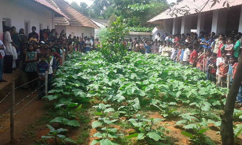 പ്രമാണം:44064 4.jpg