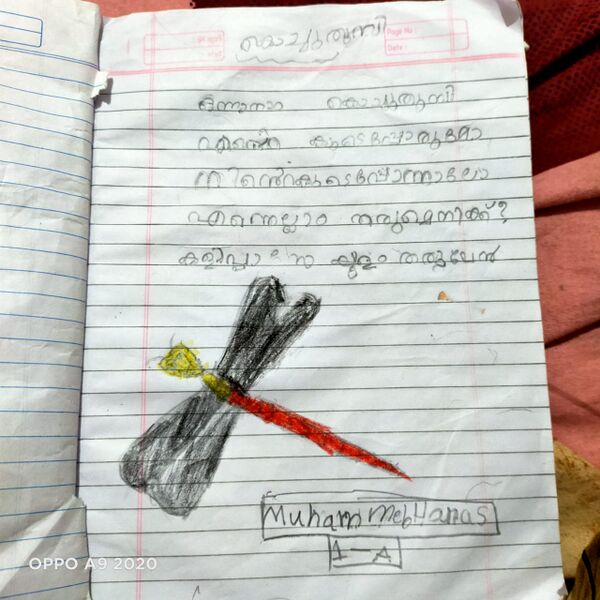 പ്രമാണം:47070-KKD-KUNJ-MUHAMMED HANAS 1A.jpeg