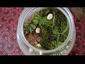 Environment club2025 ....jpg