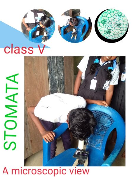 പ്രമാണം:IMG-20220129-WA0033.jpg