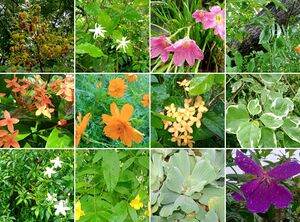 IMG 20220124 122722.jpg