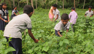 Screenshot from 2022-02-07 11-54-29.png