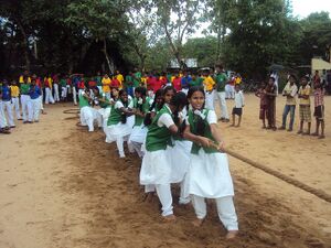 Sports 14 35052 (5).JPG