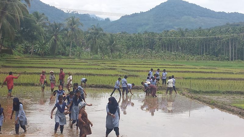 പ്രമാണം:The real experience.jpg