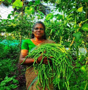 WhatsApp Image 2022-01-26 at 6.39.15 PM.jpg