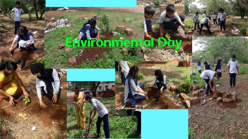 പ്രമാണം:11053 envi.png