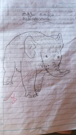 18345 Aneesa mlp.jpg