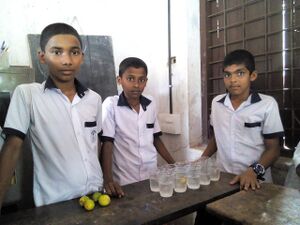 19058-sciencefair 10.jpg