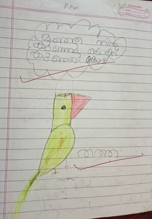 19509-MLP-KUNJ-ANVI A.jpg