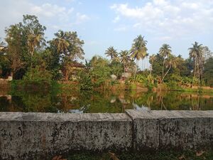 24001 poothottukulam.jpg