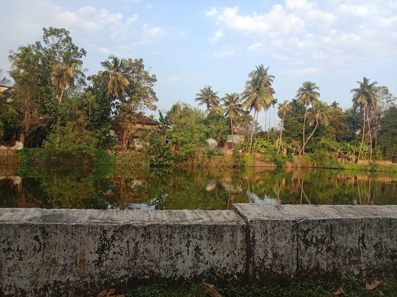 പ്രമാണം:24001 poothottukulam.jpg