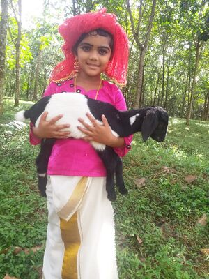 29312 vidyarangam20.jpg