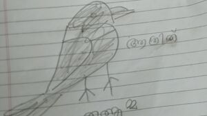 31548-KTM-kunj-ASRITH SURESH.jpg