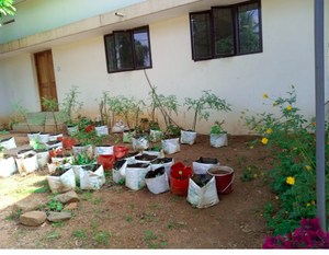 32051 veg garden.png