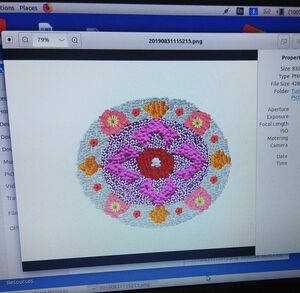 33047 ktm dp 2019 1.png.jpg