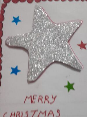 33360 ktm kunj Nihan Tojo.jpg