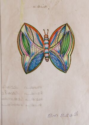 33408-KTM-KUNJ-EHA UMESH.jpg