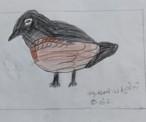 37258-PTA-KUNJ-ANN MARY.jpeg