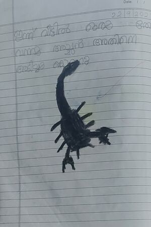 39239-KLM-KUNJ-ADHIDEV S.jpg