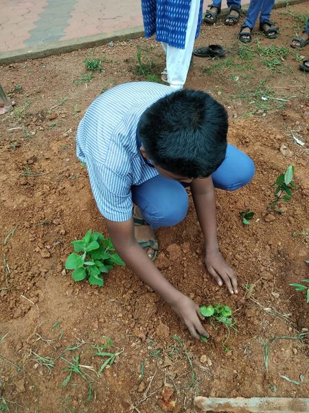 പ്രമാണം:47085Nc1.jpeg