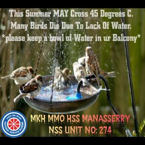 47089 nss poster.jpeg