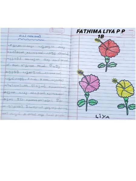 പ്രമാണം:48205-MLP-KUNJ-FATHIMA LIYA P P.jpeg