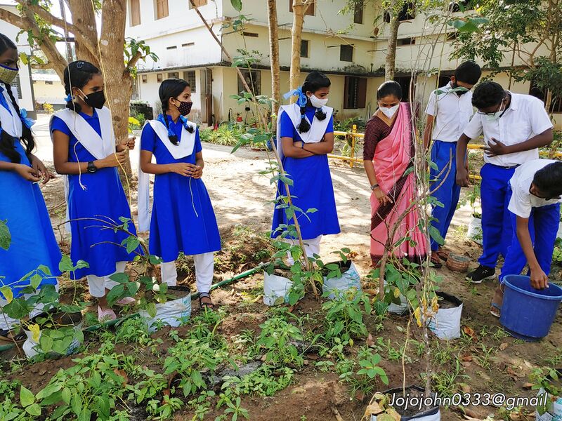 പ്രമാണം:Adukkalathottam 35052 22 (8).jpg