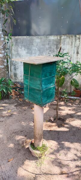 പ്രമാണം:Beehouse 35052.jpeg