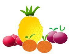 fruits