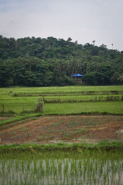 പ്രമാണം:Iringavur gramam 1.jpg
