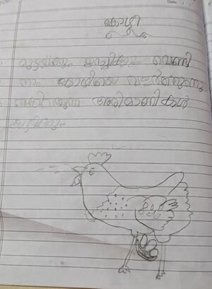 MEHRIN 28413 EKM.jpg