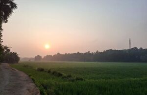 08134 ENTE GRAMAMA 2.jpeg