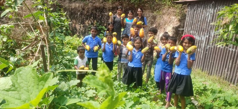 പ്രമാണം:11453krishi 3.jpeg