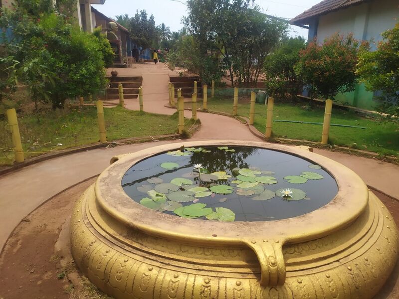 പ്രമാണം:12060 Pond.jpeg