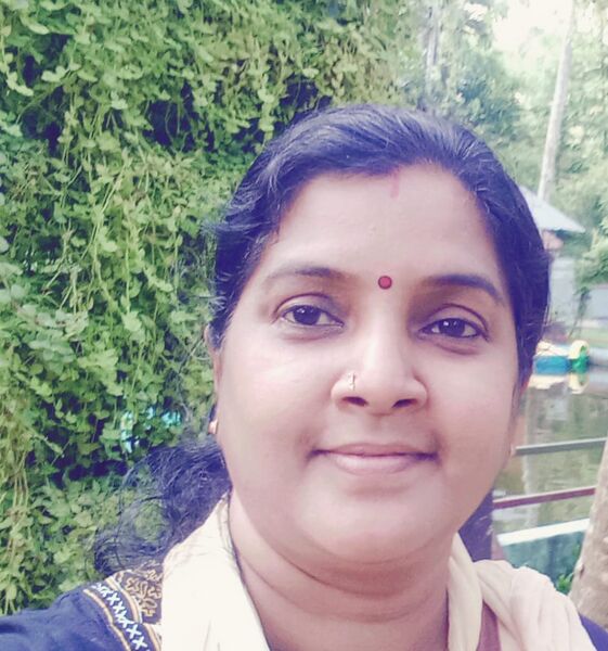 പ്രമാണം:15008 sibin.jpeg