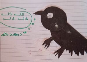 17420 CROW - HANFA.jpeg