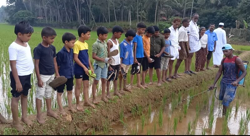 പ്രമാണം:19833-Nellu start 2022 23 8.jpg