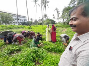 22031-MPTA VEG GARDEN.jpg