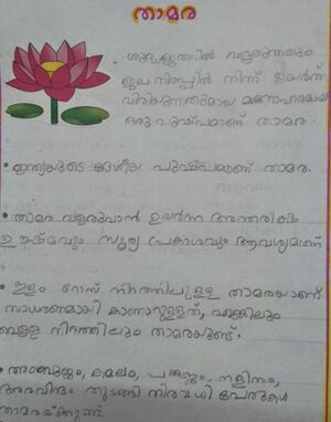 26324 jake antonio carlos.jpg