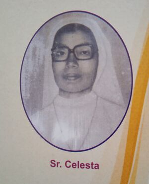 26342 sr Celesta.jpeg