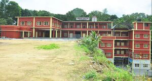 30014 1742017008677.jpg