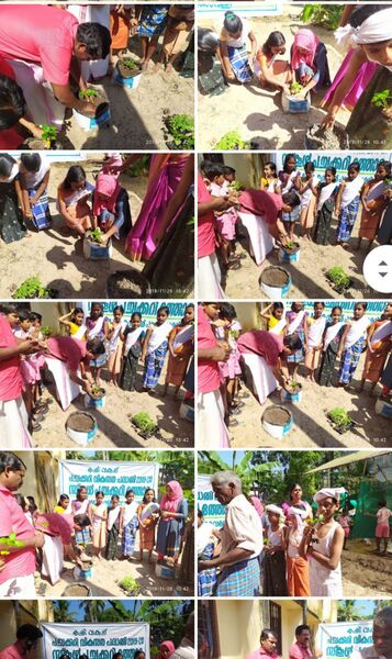 പ്രമാണം:34326 62.jpg