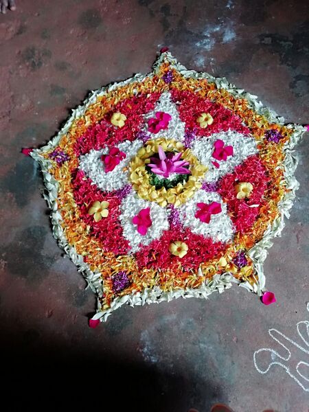 പ്രമാണം:36375cgnr 2.jpg