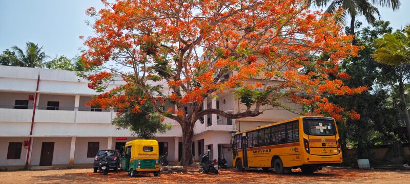 പ്രമാണം:39019-schoolactivity 2.jpg