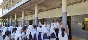 47064 KK seed pen 1.jpg