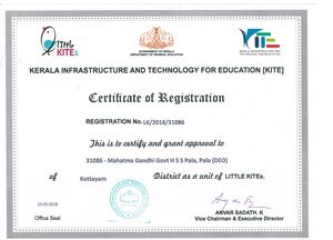 Little Kites certificate.jpg