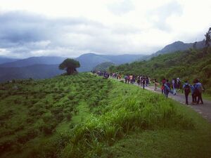 Ponmudi1.jpg